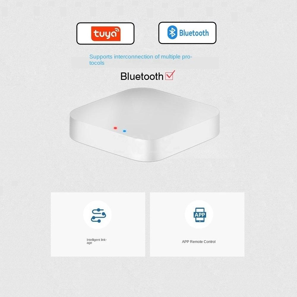 Tuya / Smart Life Gateway Hub  – Smart Home Registration recenzja i cena